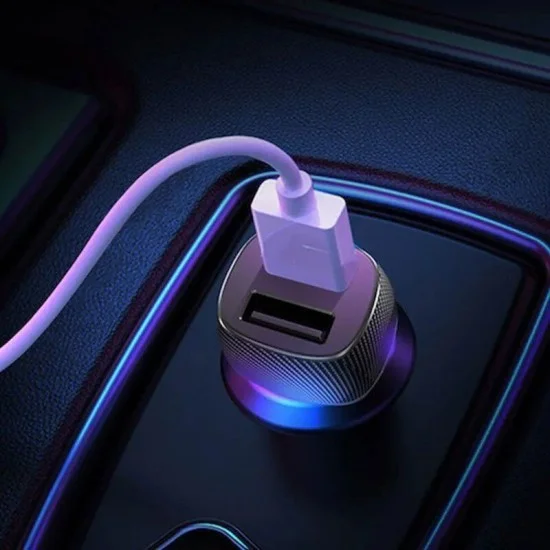 Rockrose Safari P2 Dual Port 12W Max Car Charger&ndash; Black